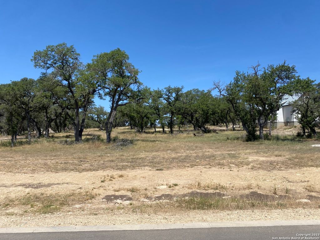 Photo of 930 MAXIMINO RIDGE RD, Bulverde, TX 78163 (MLS # 1893581)