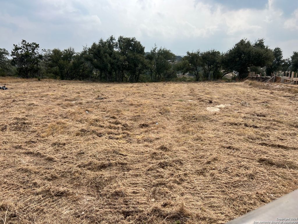 Photo of 667 Butler Oaks, Bulverde, TX 78163 (MLS # 1897376)