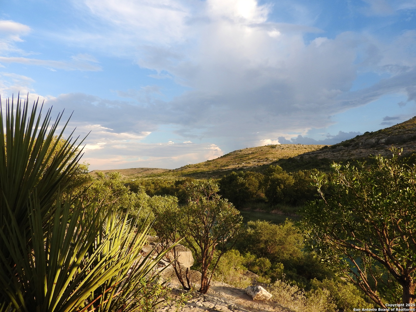 2157 Blue Sage East Rd