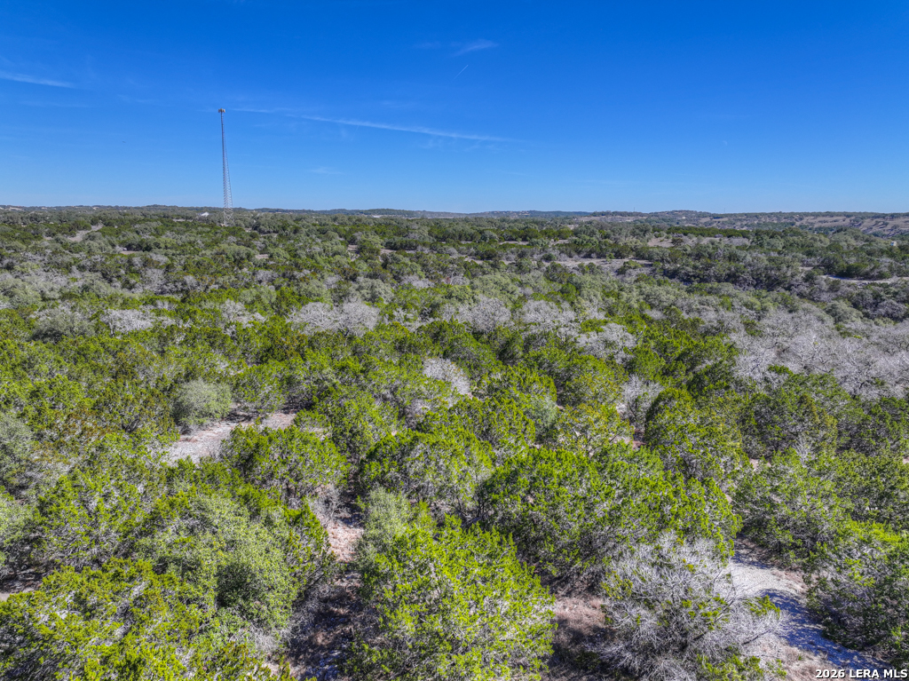 Search 505 Red Rose St