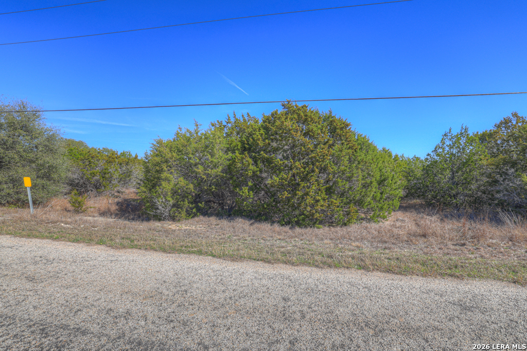 Search 505 Red Rose St