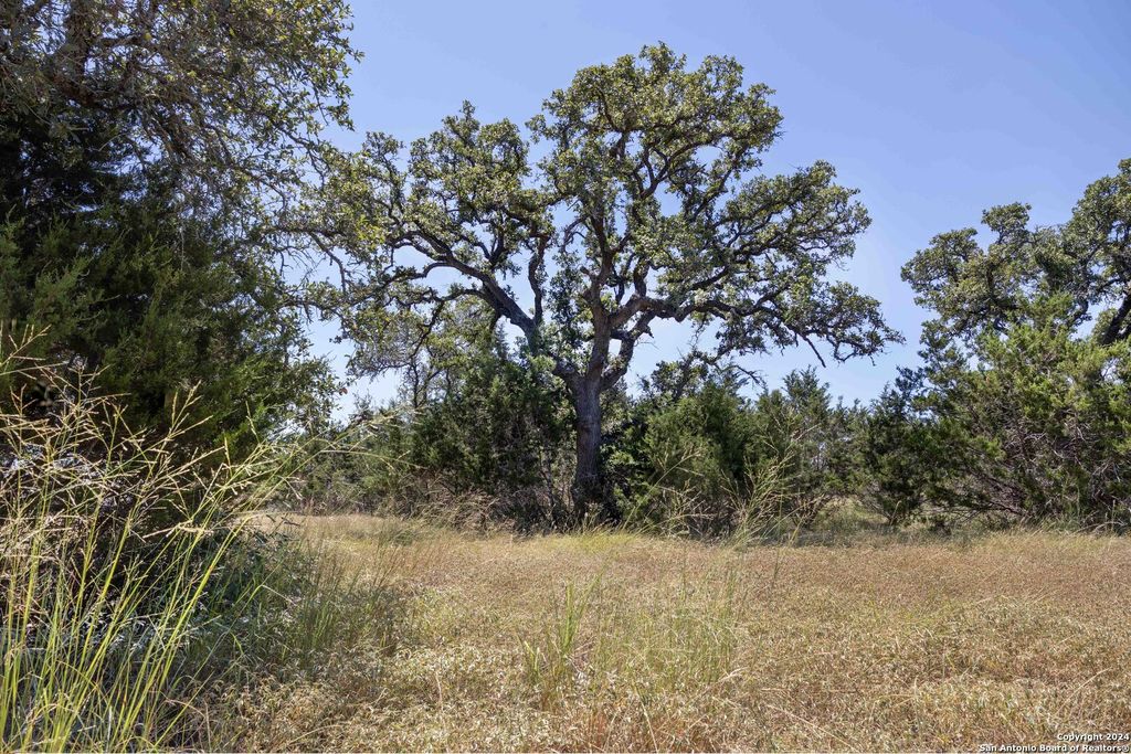 Photo of 7726 RAMBLE RIDGE, San Antonio, TX 78266 (MLS # 1803263)