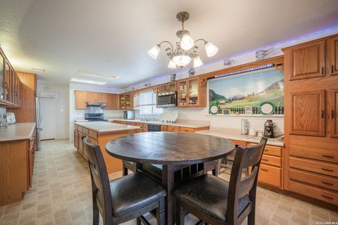 Tiny photo for 124 Springtree Grove, Cibolo, TX 78108 (MLS # 1962470)