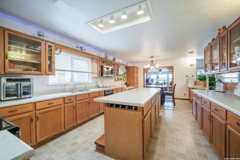 Tiny photo for 124 Springtree Grove, Cibolo, TX 78108 (MLS # 1962470)