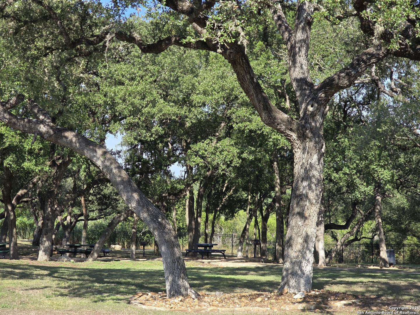 New Braunfels, Texas 78132, United States, 4 Bedrooms Bedrooms, ,4 BathroomsBathrooms,Residential,Active,206173