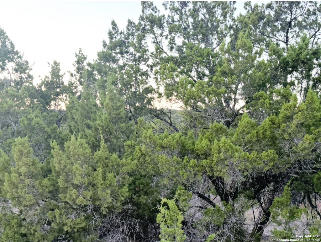 Photo of 124 Camp Verde, Bandera, TX 78003 (MLS # 1949584)