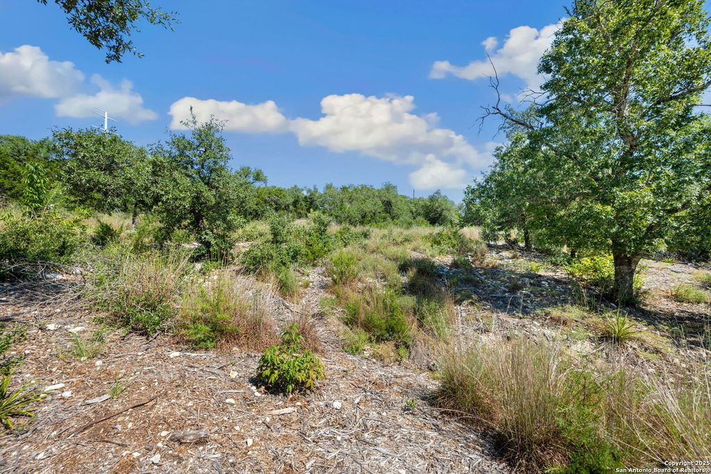 Photo of 840 Earle Oak, Bulverde, TX 78163 (MLS # 1906505)