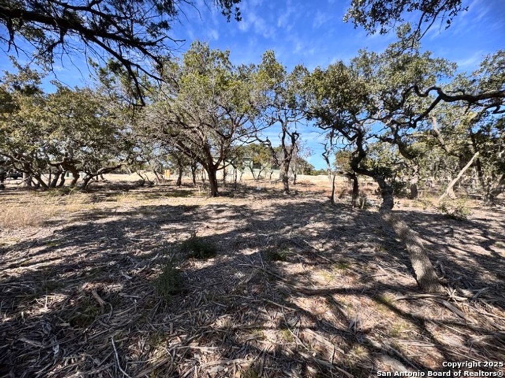 Photo of 34706 Deeanne Valley, Bulverde, TX 78163 (MLS # 1836669)