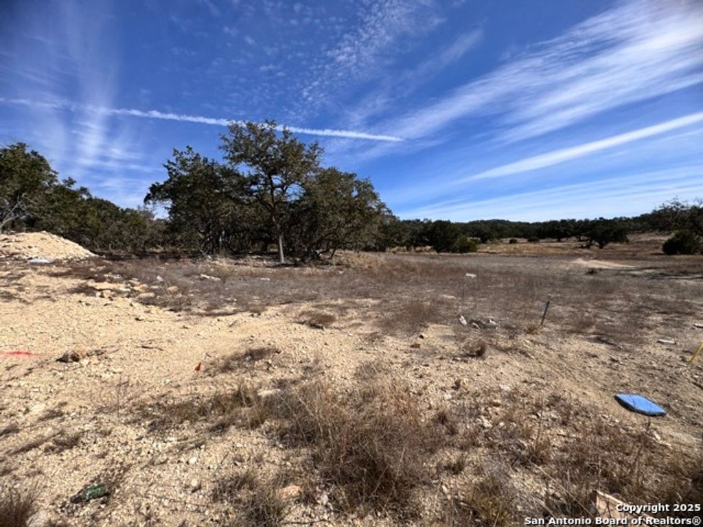 Photo of 34706 Deeanne Valley, Bulverde, TX 78163 (MLS # 1836669)