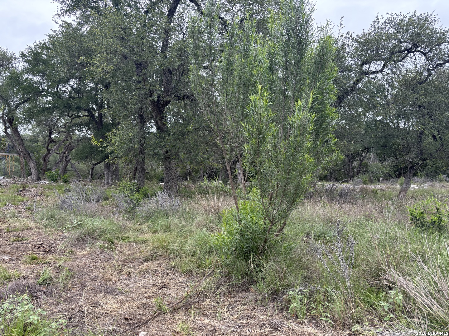 Photo 1 of 10 — 1464 STAHLMAN WAY, New Braunfels, TX 78132