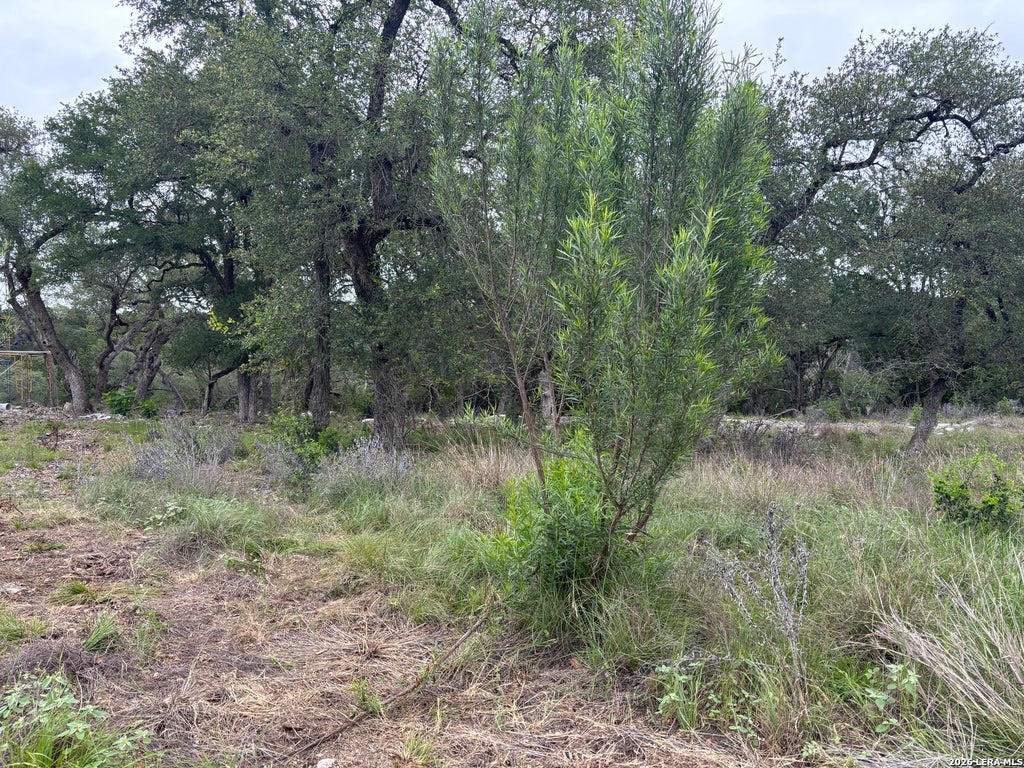 Photo of 1464 STAHLMAN WAY, New Braunfels, TX 78132 (MLS # 1965084)