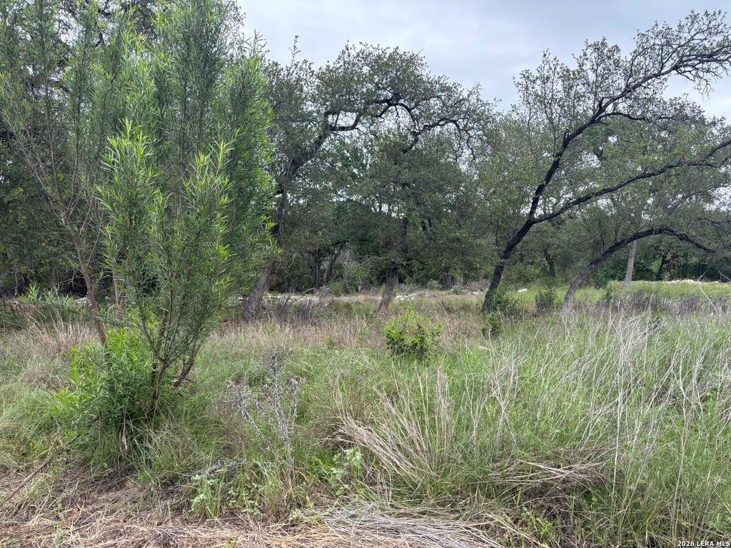 Photo of 1464 STAHLMAN WAY, New Braunfels, TX 78132 (MLS # 1965084)