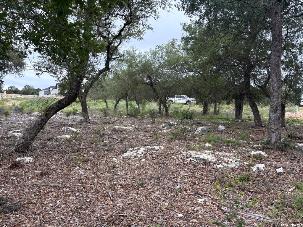 Photo of 1464 STAHLMAN WAY, New Braunfels, TX 78132 (MLS # 1965084)