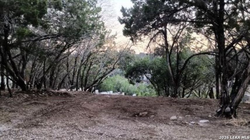 14609 Custer