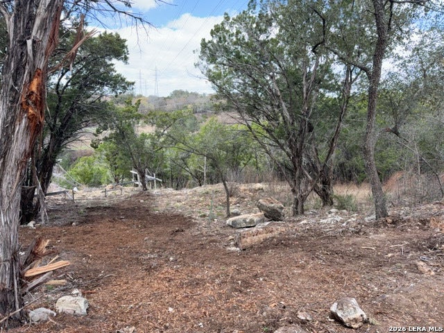 14609 Custer
