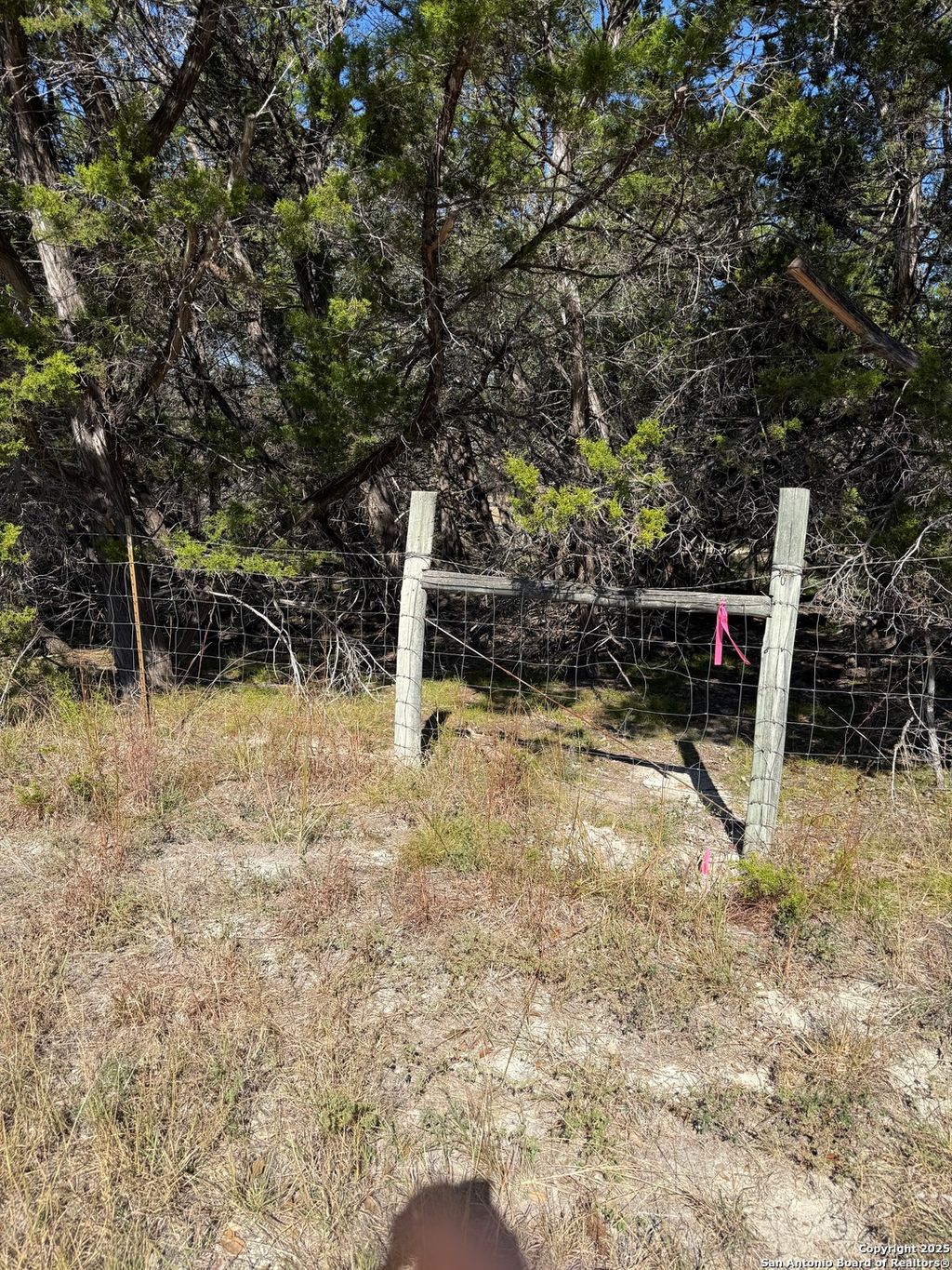 Photo of LT 392 Forest Trail Drive, Bandera, TX 78003 (MLS # 1921509)