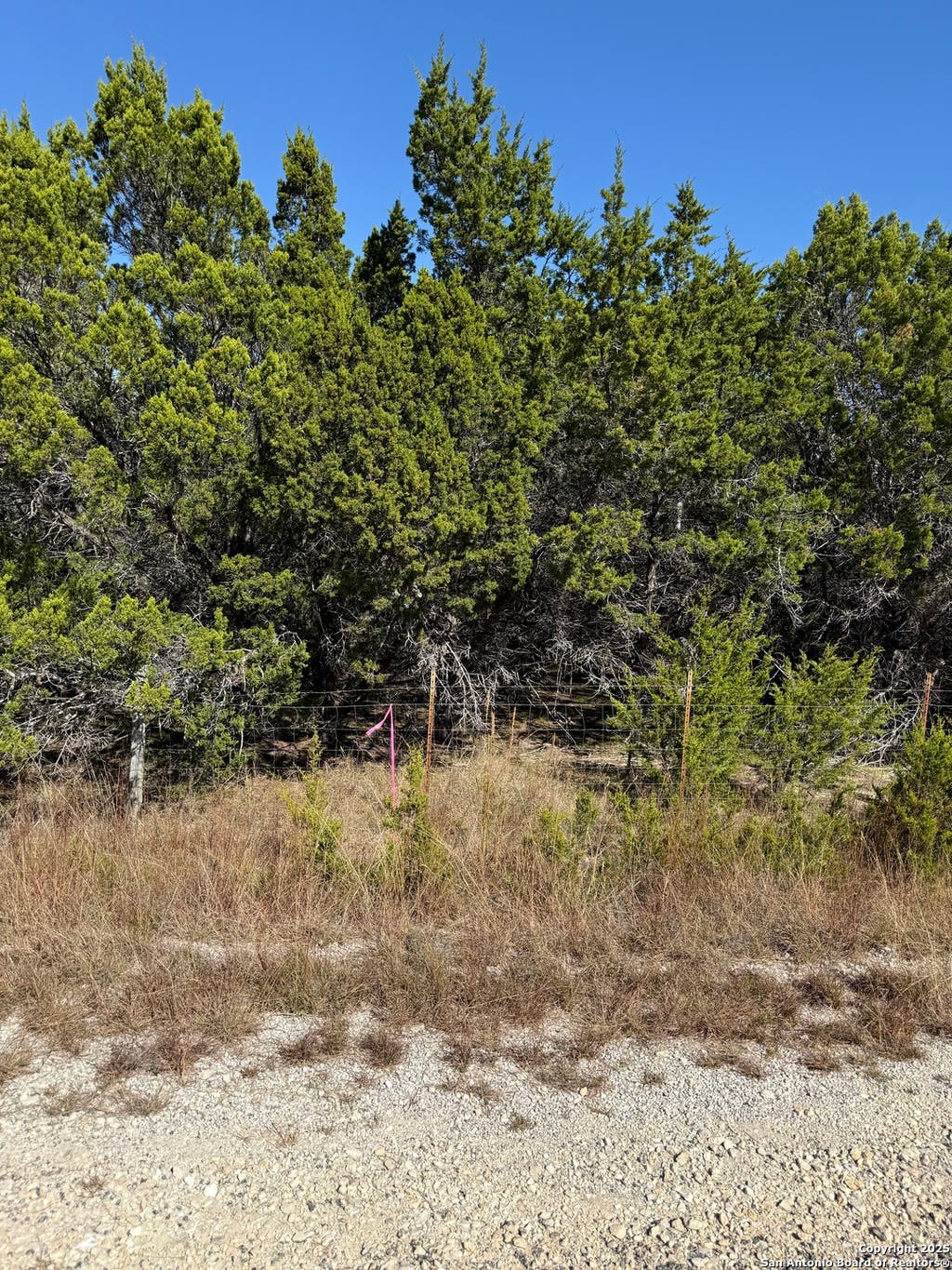 Photo of LT 392 Forest Trail Drive, Bandera, TX 78003 (MLS # 1921509)