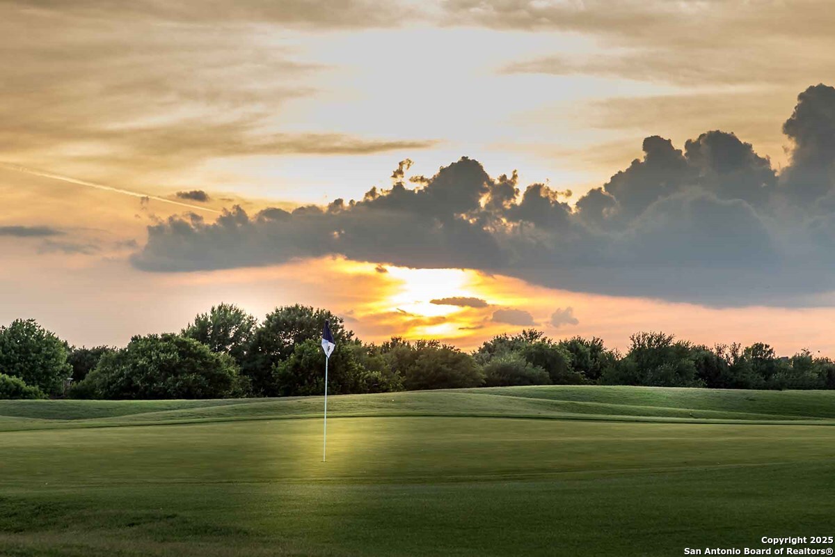 13247 Hanging Willow