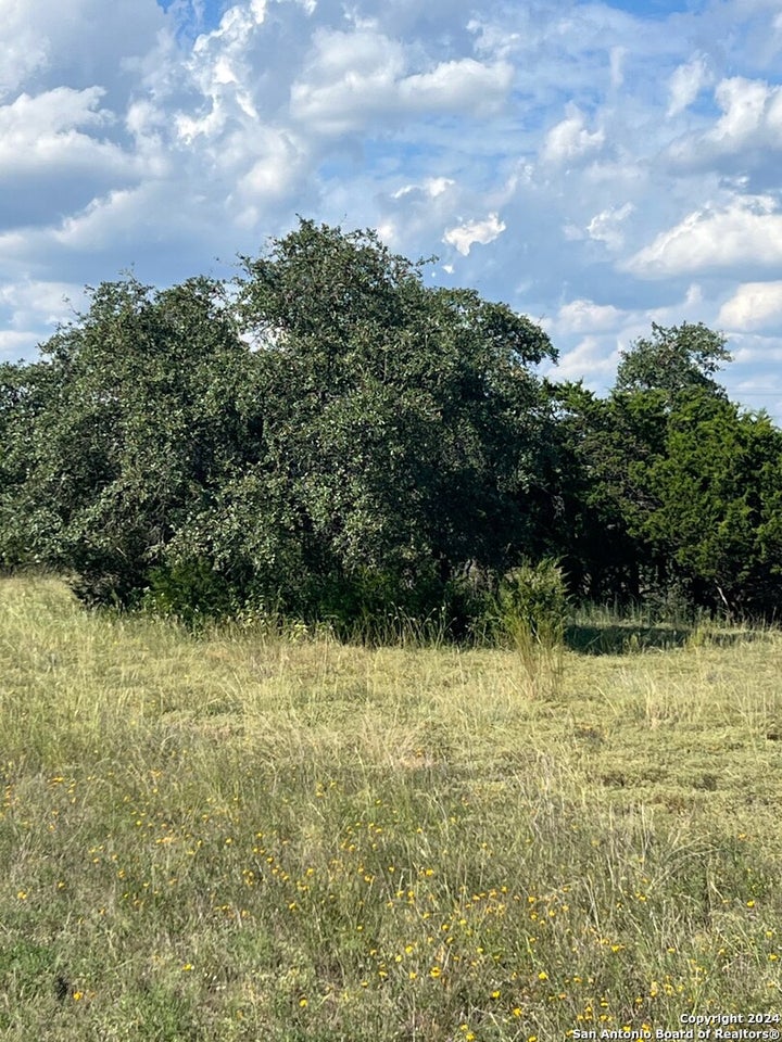 Photo 1 of 7 — 317 Bosque Ridge, Spring Branch, TX 78070