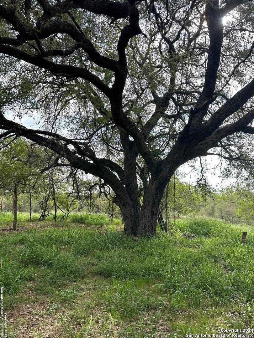 Photo of 20588 S State Highway 16, Von Ormy, TX 78073 (MLS # 1966785)