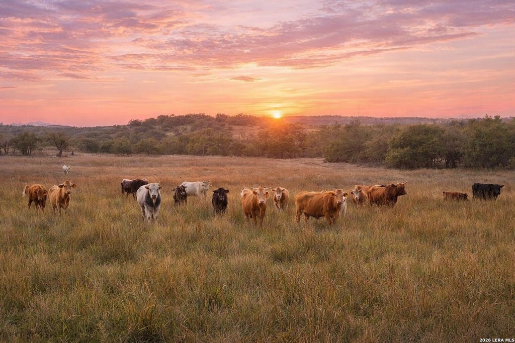 Photo of 0 Limestone Hollow, Wimberley, TX 78676 (MLS # 1952763)