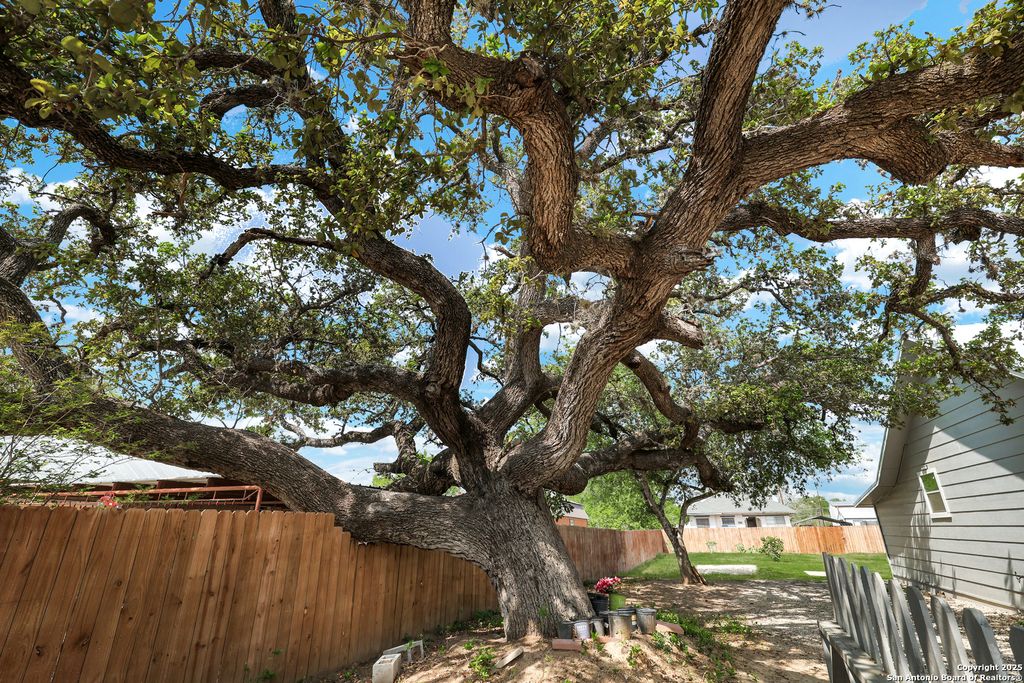 Photo of 507 Hayden, Devine, TX 78016 (MLS # 1855905)