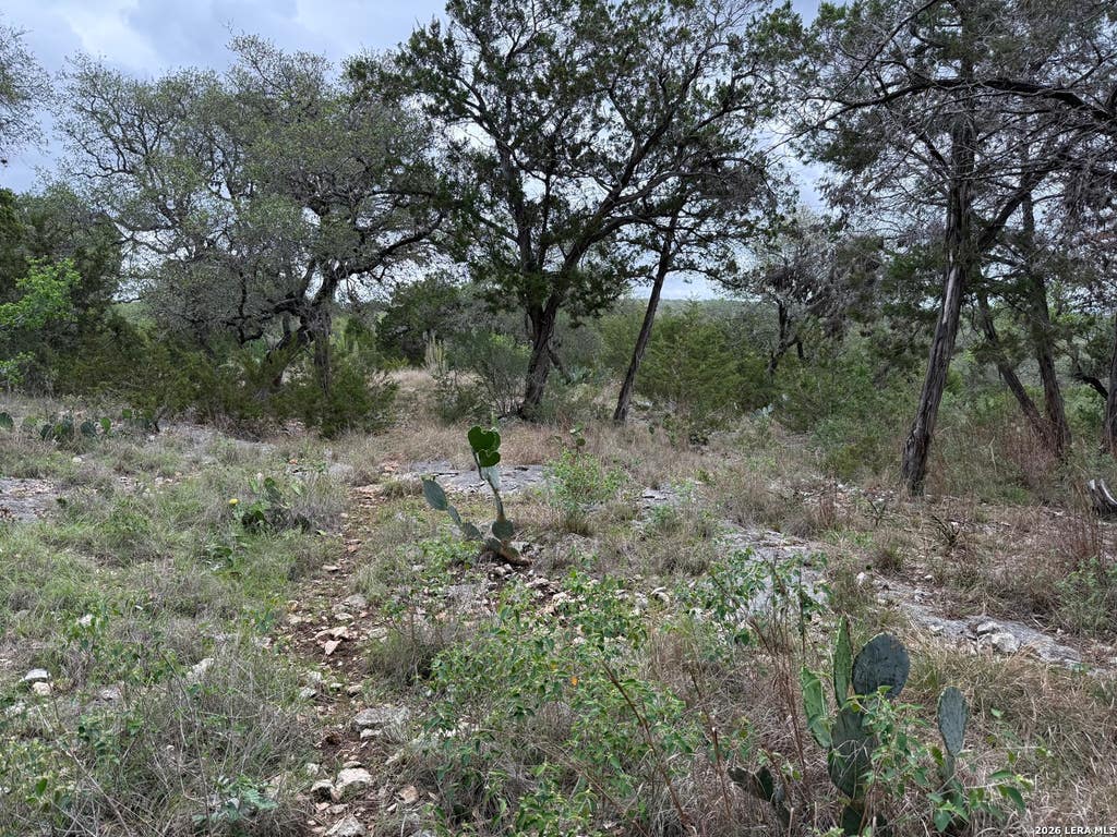Photo of 1113 KEYSTONE, Canyon Lake, TX 78133 (MLS # 1957873)