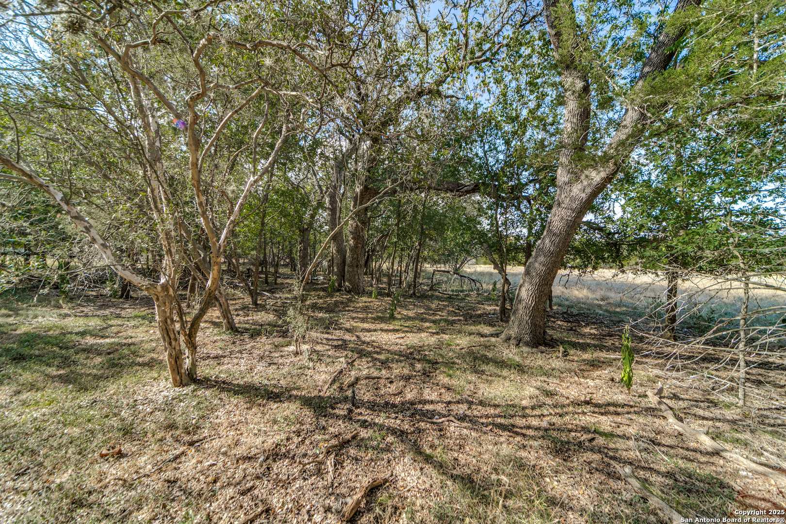 LOT 45 River Trail