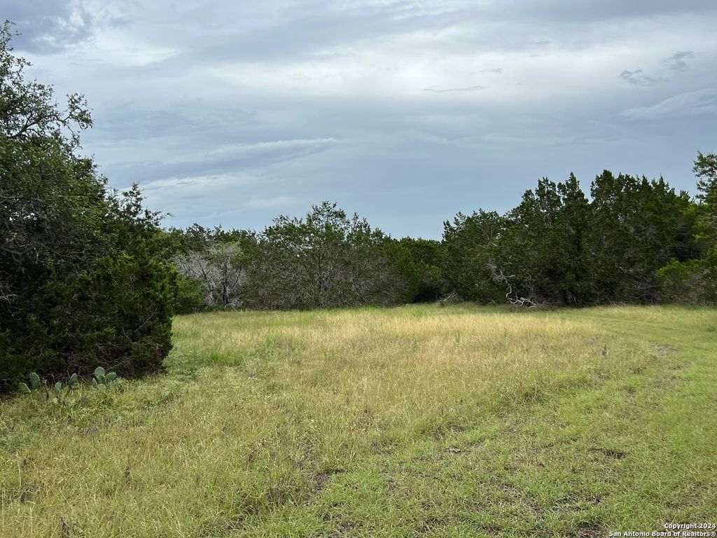 Photo of 1984 North Grape Creek Rd, Fredericksburg, TX 78624 (MLS # 1793024)