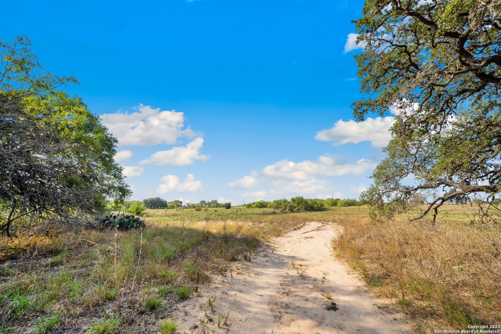 View Elmendorf, TX 78112 property