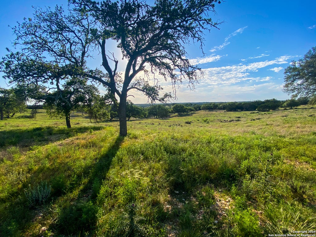 Photo of 140 cattlemans crossing, Kerrville, TX 78028 (MLS # 1948287)