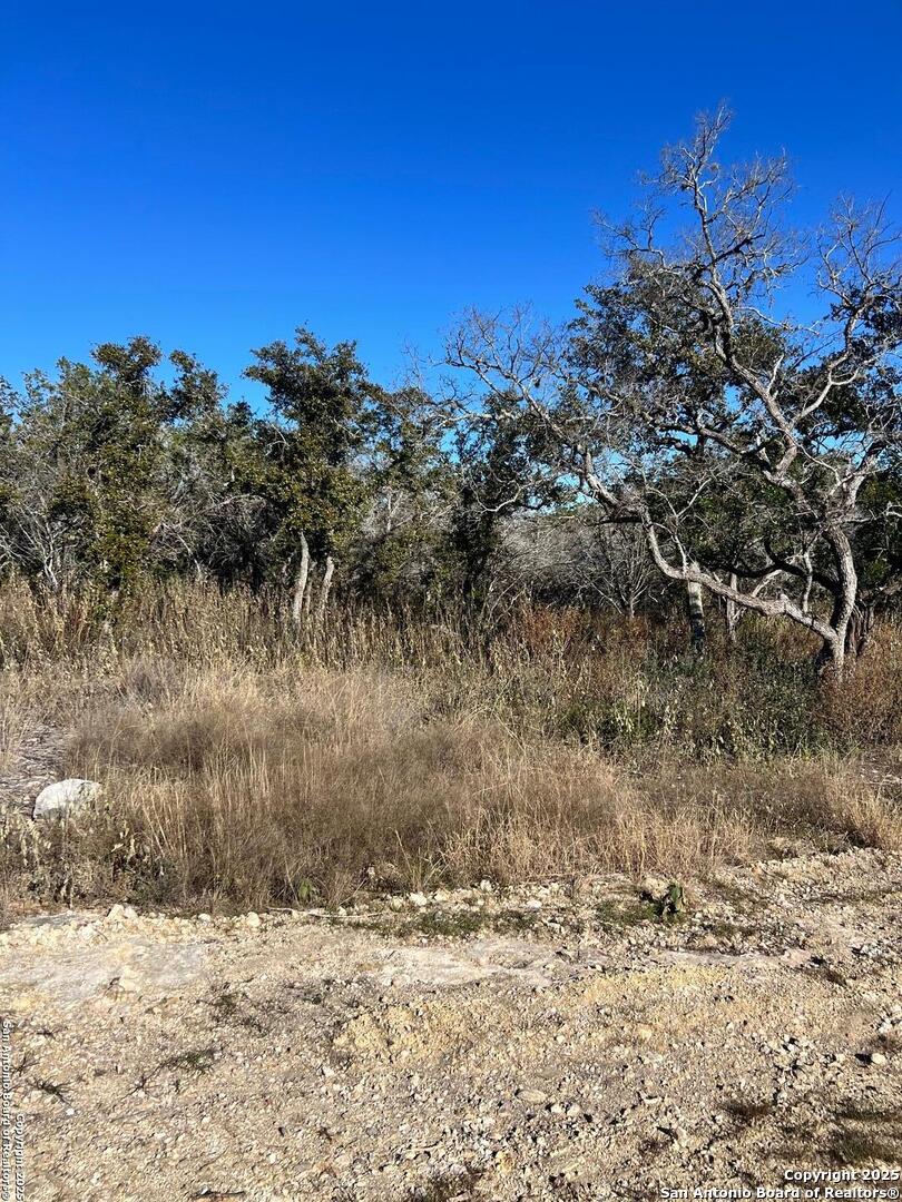 Photo of LOT 119 Grand Oaks, Hondo, TX 78861 (MLS # 1837346)
