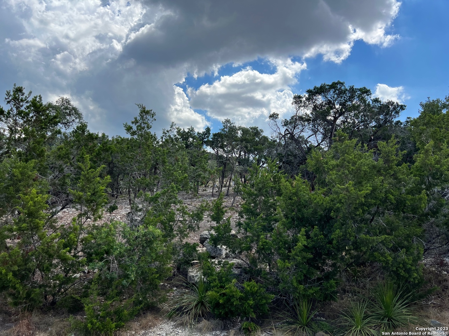 Canyon Lake, Texas 78133, United States, ,Land,Active,212936