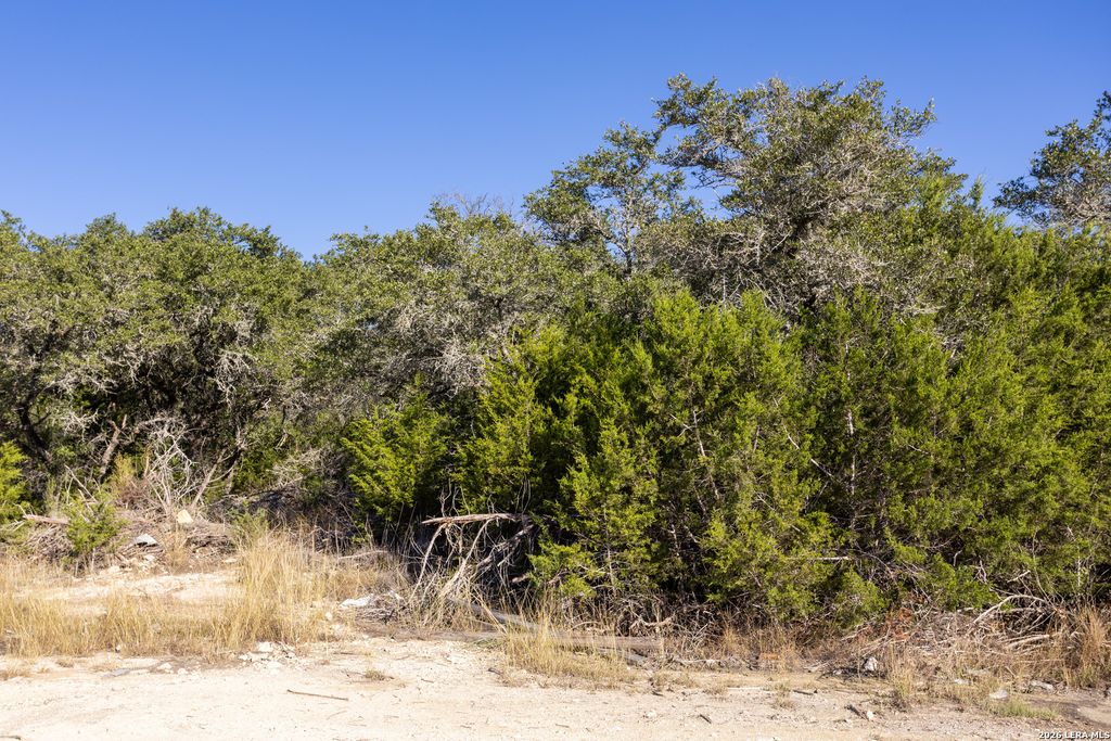 Photo of BLOCK 1, LOT 24 Standing Tall, Boerne, TX 78006 (MLS # 1940602)