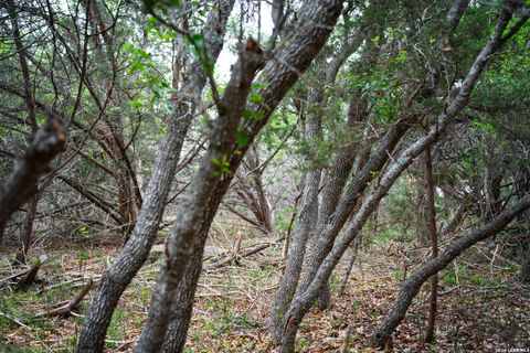 Tiny photo for 25815 GREEN RIVER DR, San Antonio, TX 78260 (MLS # 1963213)