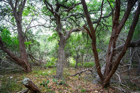 Tiny photo for 25815 GREEN RIVER DR, San Antonio, TX 78260 (MLS # 1963213)