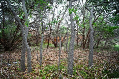 Tiny photo for 25815 GREEN RIVER DR, San Antonio, TX 78260 (MLS # 1963213)