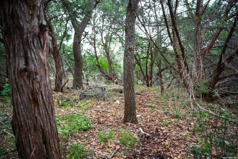 Tiny photo for 25815 GREEN RIVER DR, San Antonio, TX 78260 (MLS # 1963213)