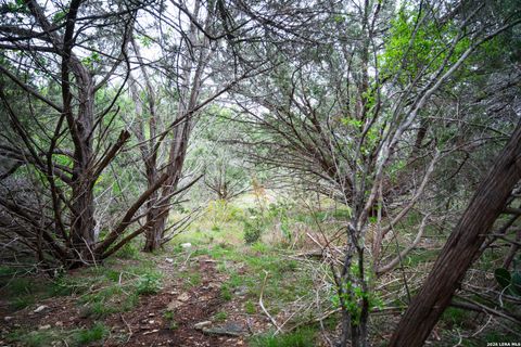 Tiny photo for 25815 GREEN RIVER DR, San Antonio, TX 78260 (MLS # 1963213)