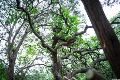 Tiny photo for 25815 GREEN RIVER DR, San Antonio, TX 78260 (MLS # 1963213)
