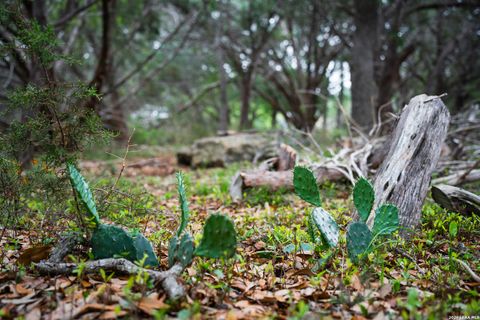Tiny photo for 25815 GREEN RIVER DR, San Antonio, TX 78260 (MLS # 1963213)