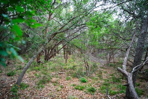 Tiny photo for 25815 GREEN RIVER DR, San Antonio, TX 78260 (MLS # 1963213)