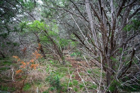 Tiny photo for 25815 GREEN RIVER DR, San Antonio, TX 78260 (MLS # 1963213)