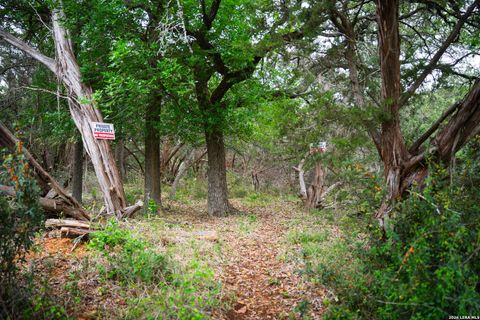 Tiny photo for 25815 GREEN RIVER DR, San Antonio, TX 78260 (MLS # 1963213)