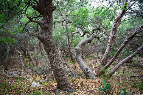 Tiny photo for 25815 GREEN RIVER DR, San Antonio, TX 78260 (MLS # 1963213)