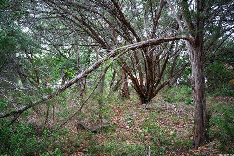 Tiny photo for 25815 GREEN RIVER DR, San Antonio, TX 78260 (MLS # 1963213)