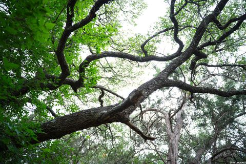 Tiny photo for 25815 GREEN RIVER DR, San Antonio, TX 78260 (MLS # 1963213)