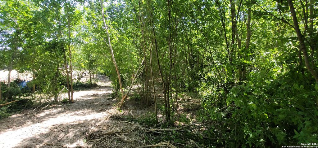 Photo of 2602 Hicks Avenue, San Antonio, TX 78210 (MLS # 1789773)