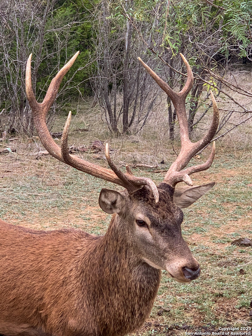000 South Hwy 281