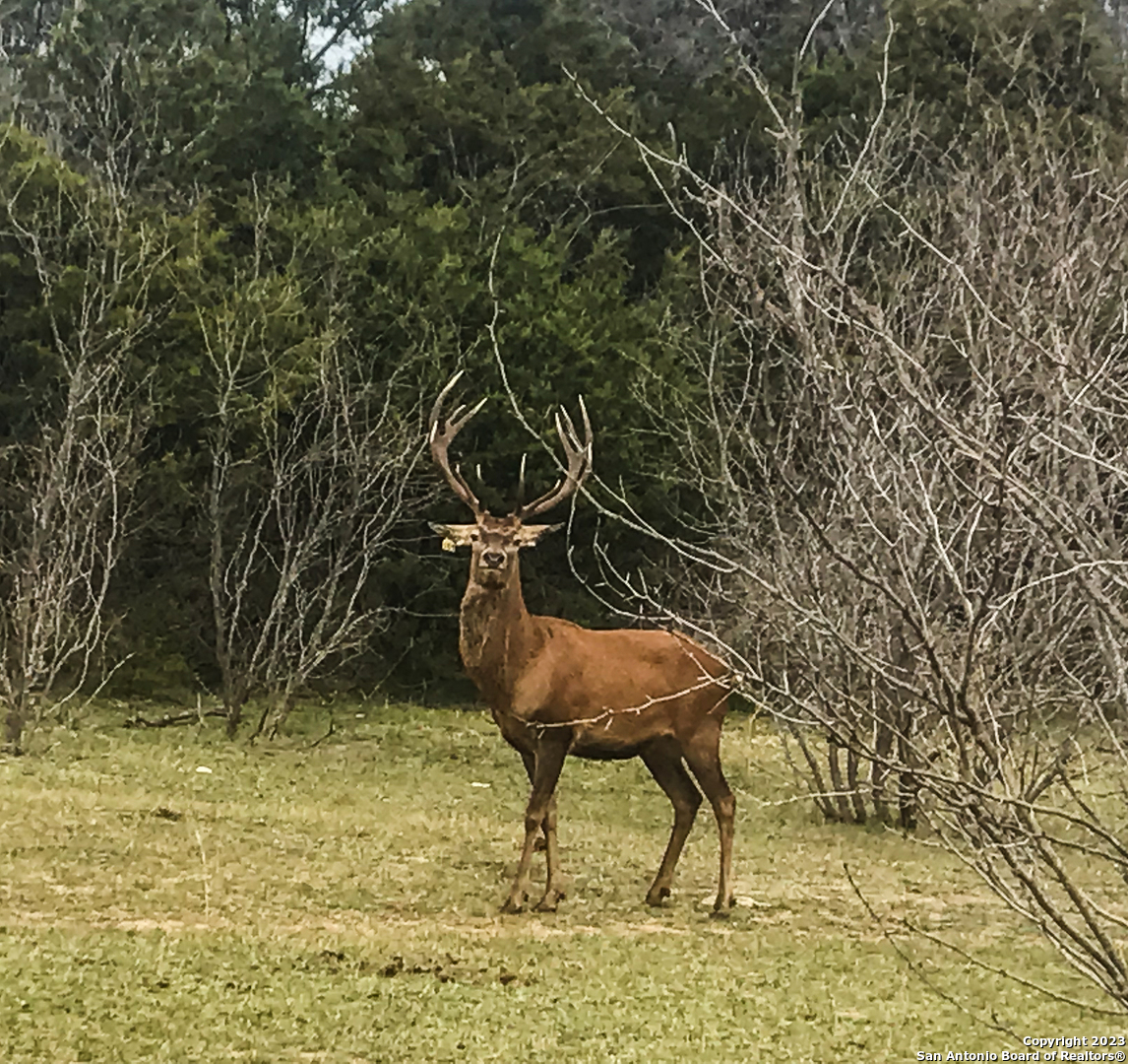 000 South Hwy 281